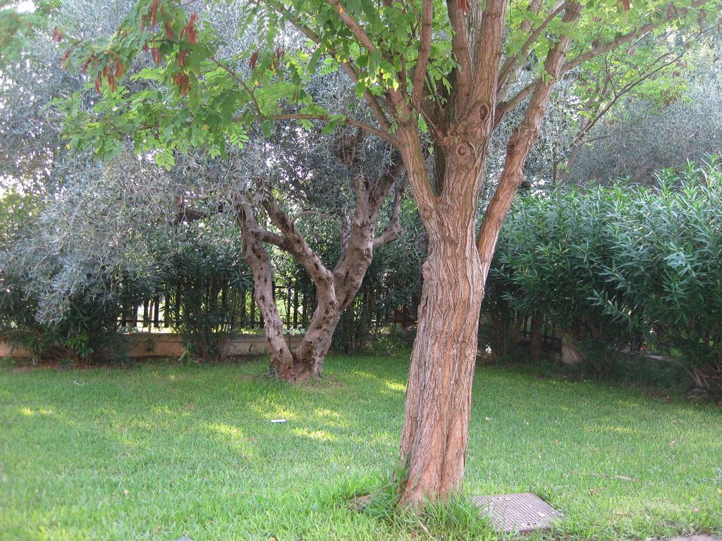 Bed and Breakfast Caputaquis Capaccio Exterior foto